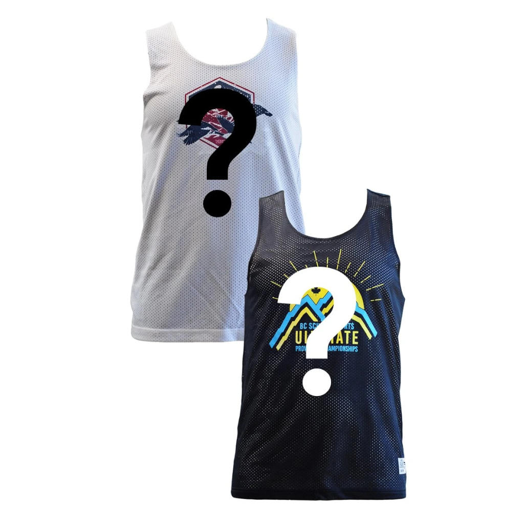 Mystery Mesh Reversible