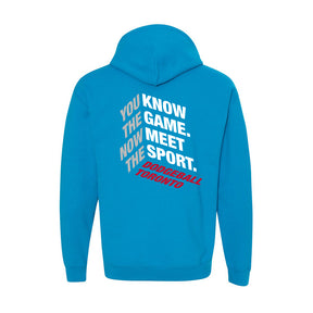 Hoodie en coton premium Dodgeball Toronto